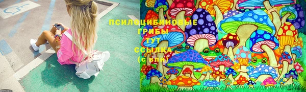 тгк Алексин