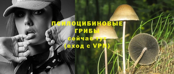 тгк Алексин