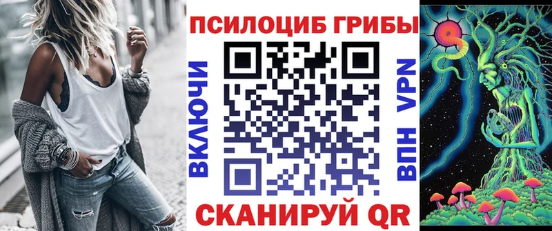Псилоцибиновые грибы Psilocybe  Любим 
