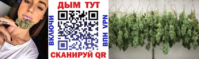 Бошки марихуана SATIVA & INDICA  Любим 